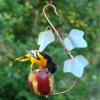 Male Oriole enjoying the Copper Ivy Fruit Cafe.