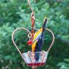 Male oriole on Love Bird Jelly Feeder.