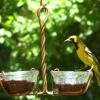 Immature Male Orchard Oriole in Spring 2010