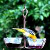 Female Oriole on Jelly Feeder 
Spring 2010