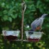 Robin on Jelly Feeder